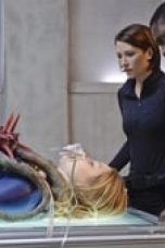 Nonton film Supergirl Season 1 Episode 13 Subtitle Indonesia Streaming Movie Download Gratis Online